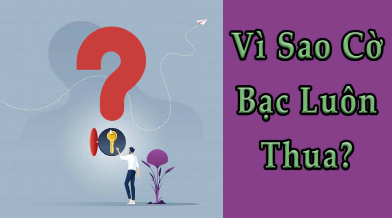 Giải thích tại sao cờ bạc luôn thua? Cách chơi cờ bạc hiệu quả