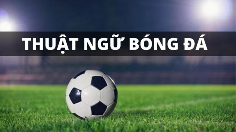 Các thuật ngữ bóng đá bằng Tiếng Việt